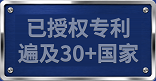 GATE Badge Chinese